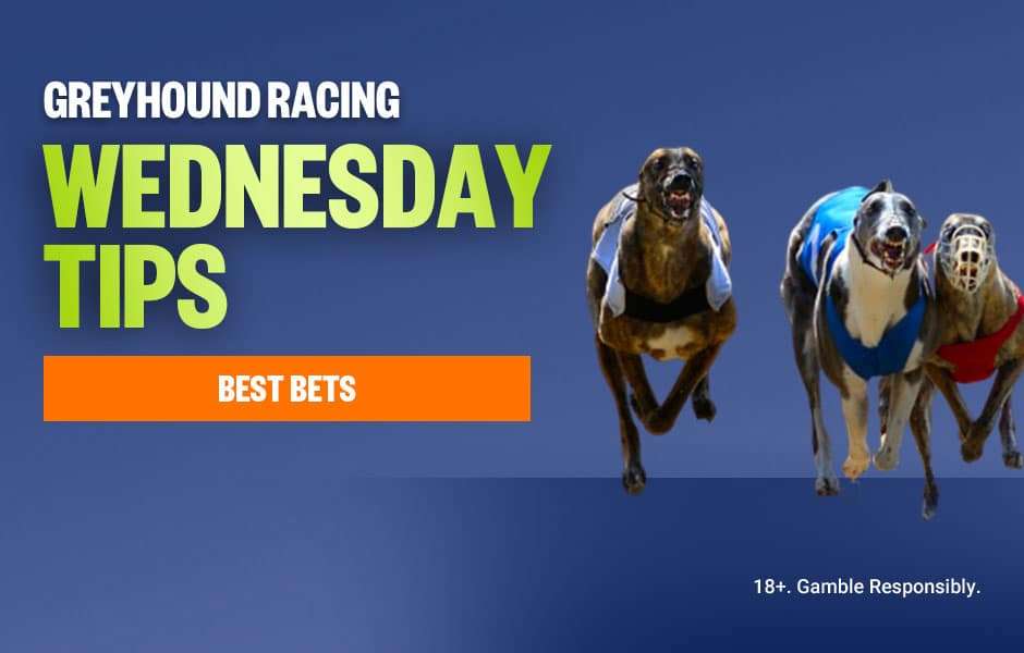 Top Greyhound Racing Tips - Wednesday 7th July - Palmerbet Blog