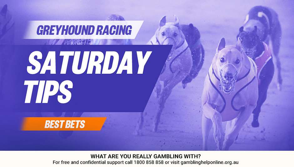 Greyhound Racing Tips - Saturday 15th April | Palmerbet Blog