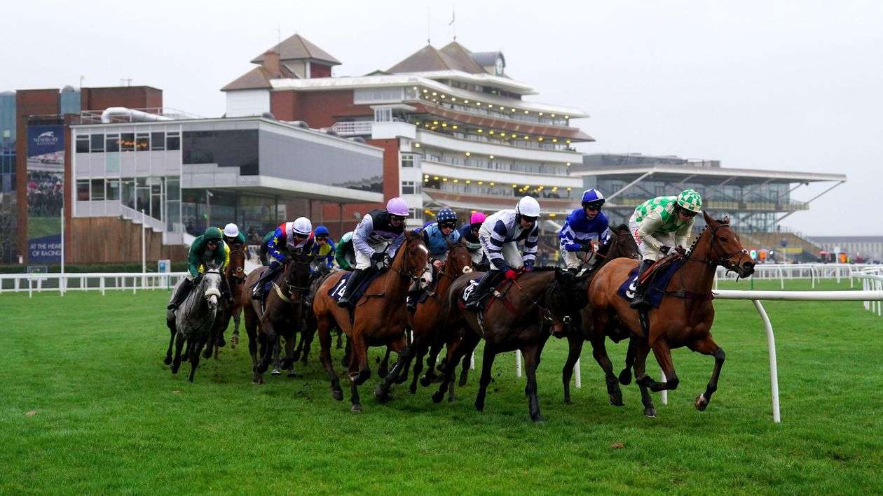 Best Bets - Saturday 15th June - Palmerbet Blog